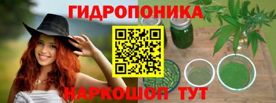 шишки Тула