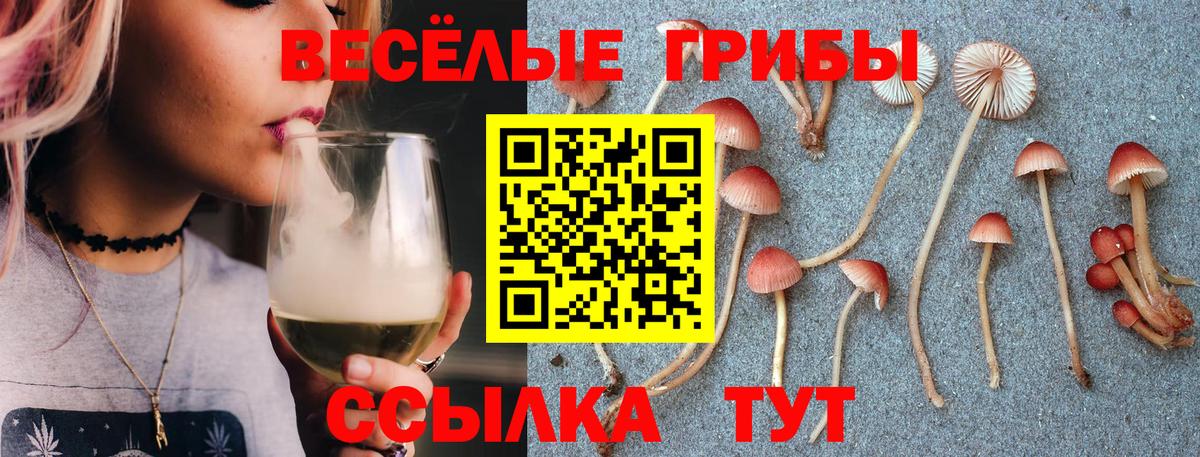 Галлюциногенные грибы Psilocybine cubensis  Вход с VPN  Мариинск  как найти закладки  Псилоцибиновые грибы GOLDEN TEACHER 