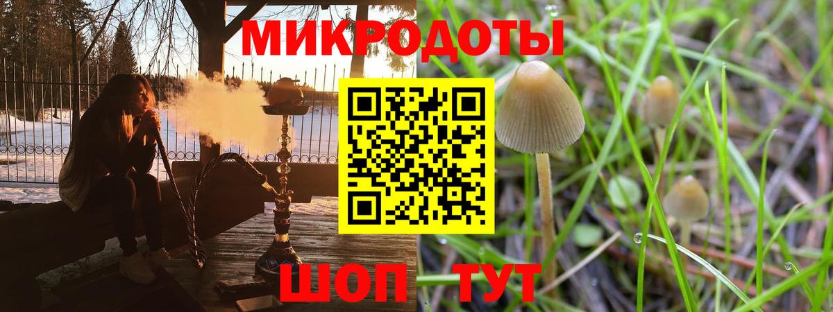 Галлюциногенные грибы Cubensis Мариинск